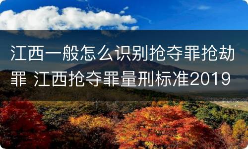 江西一般怎么识别抢夺罪抢劫罪 江西抢夺罪量刑标准2019