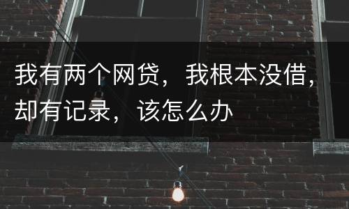 我有两个网贷，我根本没借，却有记录，该怎么办