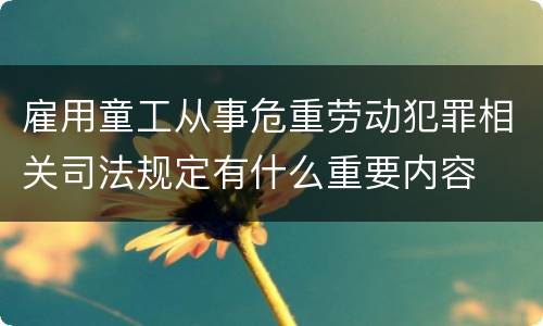 雇用童工从事危重劳动犯罪相关司法规定有什么重要内容