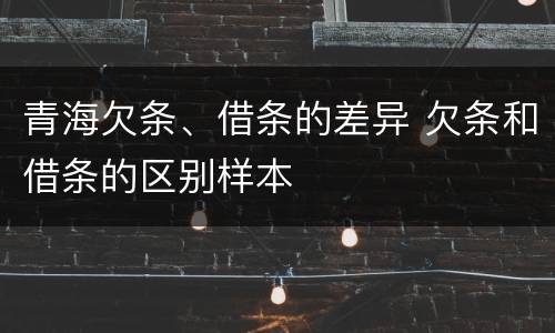 青海欠条、借条的差异 欠条和借条的区别样本