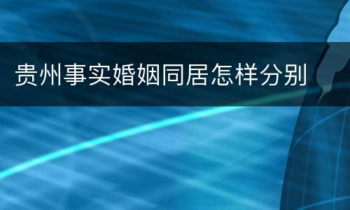 贵州事实婚姻同居怎样分别