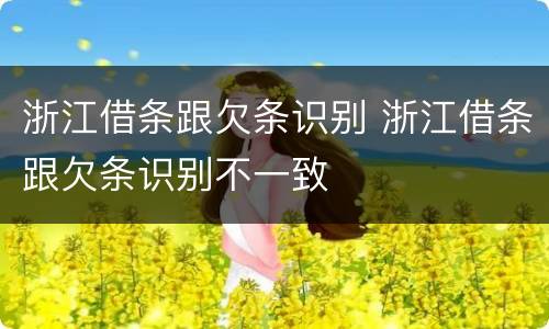 浙江借条跟欠条识别 浙江借条跟欠条识别不一致