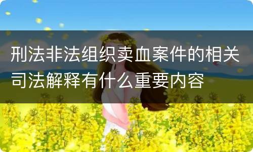 刑法非法组织卖血案件的相关司法解释有什么重要内容