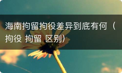海南拘留拘役差异到底有何（拘役 拘留 区别）