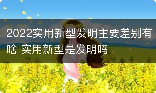 2022实用新型发明主要差别有啥 实用新型是发明吗