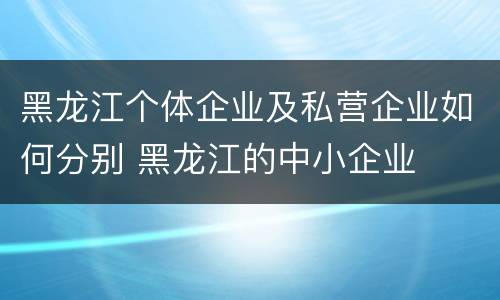 黑龙江个体企业及私营企业如何分别 黑龙江的中小企业