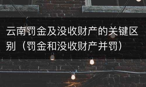 云南罚金及没收财产的关键区别（罚金和没收财产并罚）