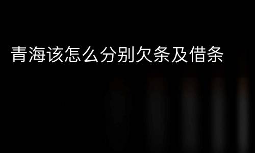 青海该怎么分别欠条及借条