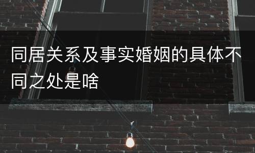 同居关系及事实婚姻的具体不同之处是啥
