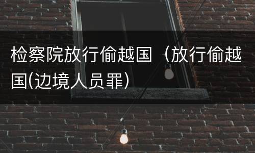 检察院放行偷越国（放行偷越国(边境人员罪）