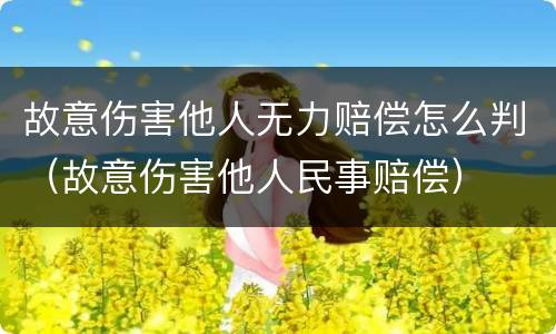 故意伤害他人无力赔偿怎么判（故意伤害他人民事赔偿）
