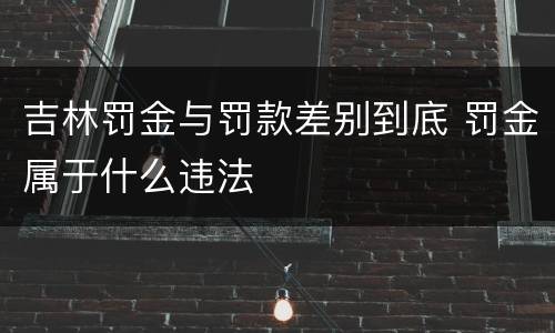 吉林罚金与罚款差别到底 罚金属于什么违法