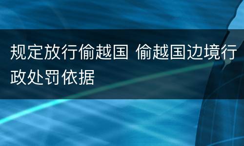 规定放行偷越国 偷越国边境行政处罚依据