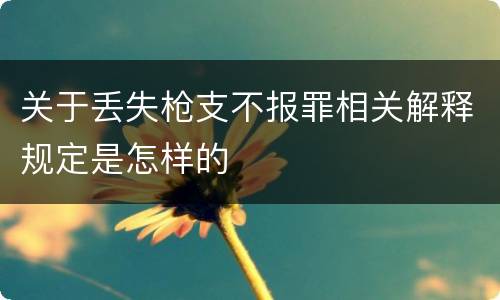 关于丢失枪支不报罪相关解释规定是怎样的