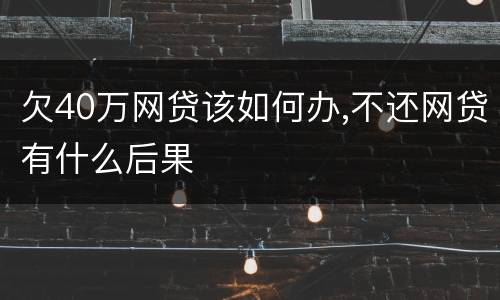欠40万网贷该如何办,不还网贷有什么后果
