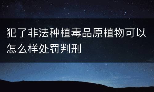 犯了非法种植毒品原植物可以怎么样处罚判刑