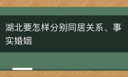 湖北要怎样分别同居关系、事实婚姻