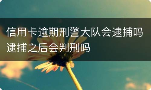 信用卡逾期刑警大队会逮捕吗逮捕之后会判刑吗