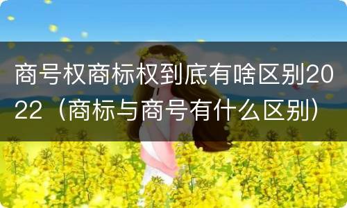 商号权商标权到底有啥区别2022（商标与商号有什么区别）