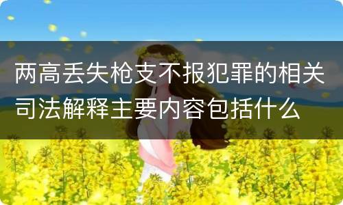 两高丢失枪支不报犯罪的相关司法解释主要内容包括什么
