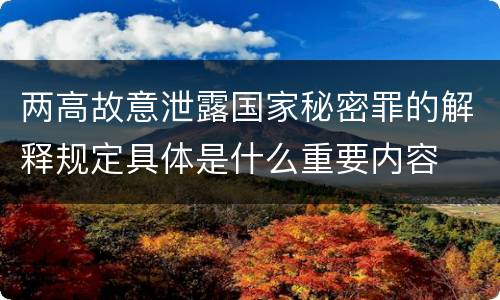 两高故意泄露国家秘密罪的解释规定具体是什么重要内容