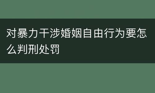 对暴力干涉婚姻自由行为要怎么判刑处罚