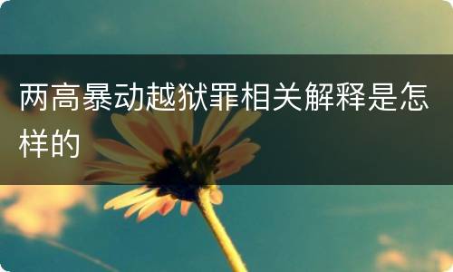 两高暴动越狱罪相关解释是怎样的
