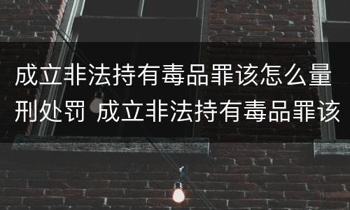 成立非法持有毒品罪该怎么量刑处罚 成立非法持有毒品罪该怎么量刑处罚案例