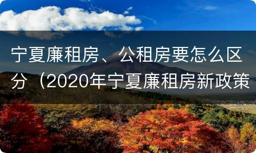 宁夏廉租房、公租房要怎么区分（2020年宁夏廉租房新政策）