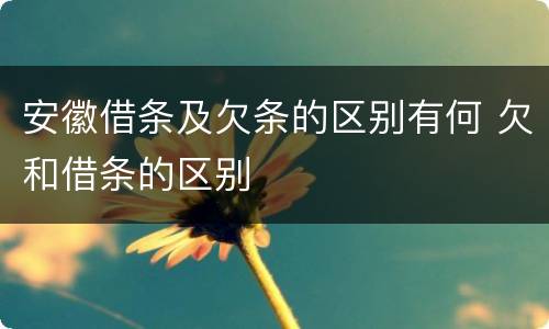 安徽借条及欠条的区别有何 欠和借条的区别
