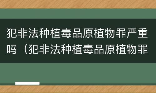 犯非法种植毒品原植物罪严重吗（犯非法种植毒品原植物罪严重吗判几年）