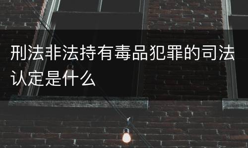 刑法非法持有毒品犯罪的司法认定是什么