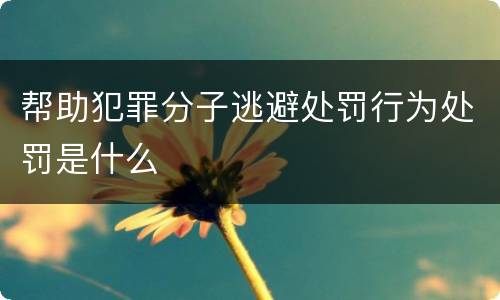 帮助犯罪分子逃避处罚行为处罚是什么