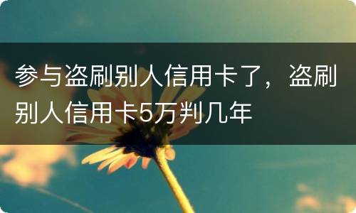 参与盗刷别人信用卡了，盗刷别人信用卡5万判几年