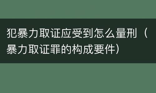犯暴力取证应受到怎么量刑（暴力取证罪的构成要件）