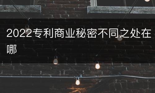 2022专利商业秘密不同之处在哪