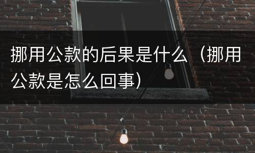 挪用公款的后果是什么（挪用公款是怎么回事）
