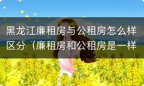 黑龙江廉租房与公租房怎么样区分（廉租房和公租房是一样的吗）