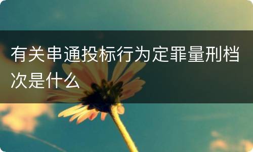 有关串通投标行为定罪量刑档次是什么