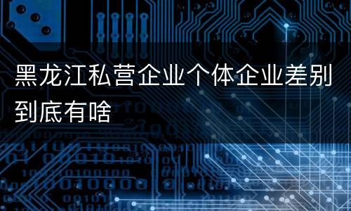 黑龙江私营企业个体企业差别到底有啥