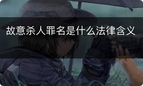 故意杀人罪名是什么法律含义