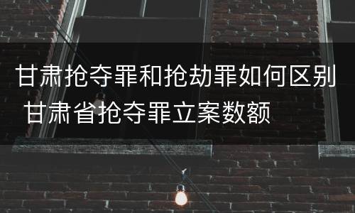 甘肃抢夺罪和抢劫罪如何区别 甘肃省抢夺罪立案数额