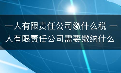 一人有限责任公司缴什么税 一人有限责任公司需要缴纳什么税