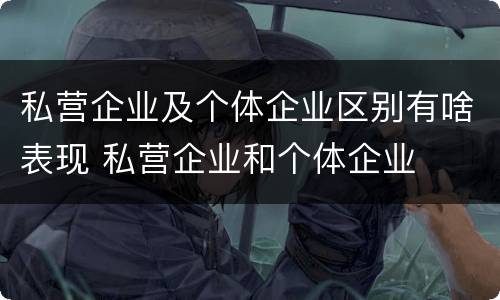 私营企业及个体企业区别有啥表现 私营企业和个体企业