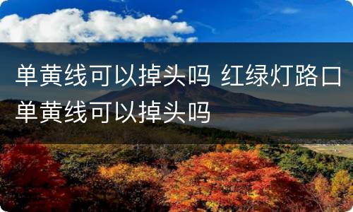 单黄线可以掉头吗 红绿灯路口单黄线可以掉头吗