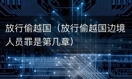 放行偷越国（放行偷越国边境人员罪是第几章）