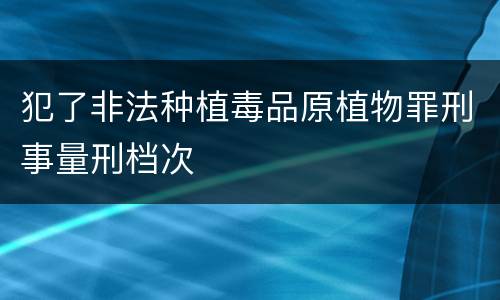 犯了非法种植毒品原植物罪刑事量刑档次