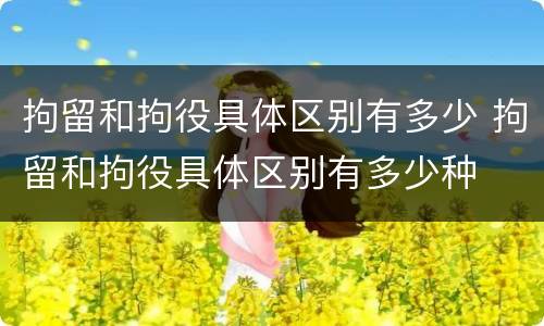 拘留和拘役具体区别有多少 拘留和拘役具体区别有多少种