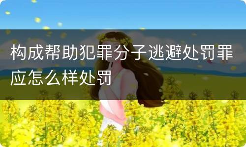 构成帮助犯罪分子逃避处罚罪应怎么样处罚