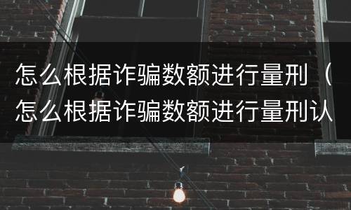 怎么根据诈骗数额进行量刑（怎么根据诈骗数额进行量刑认定）